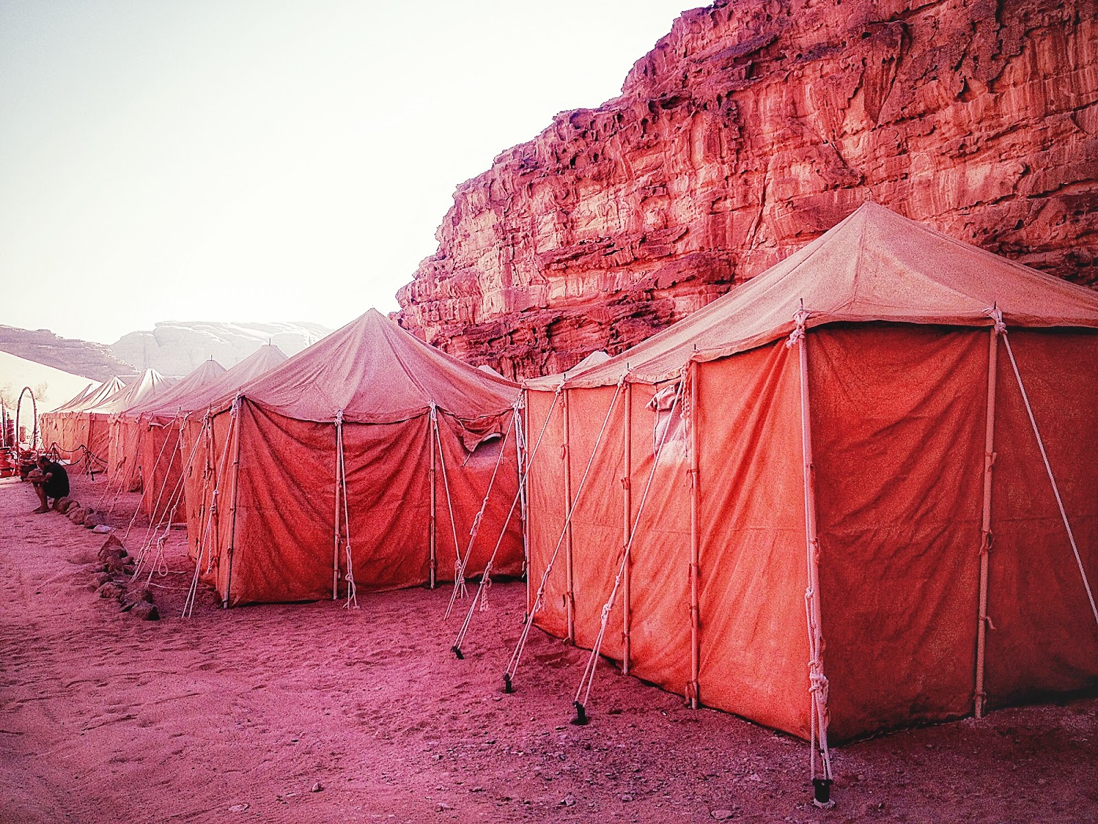 bedouin camp in wadi rum