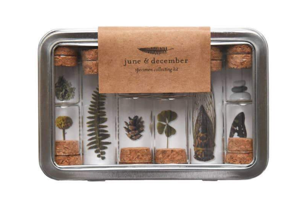 #29 - Nature Specimen Collecting Kit