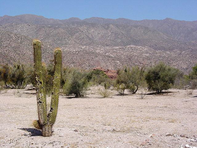 Atractivos de Argentina: El Clima en la Rioja