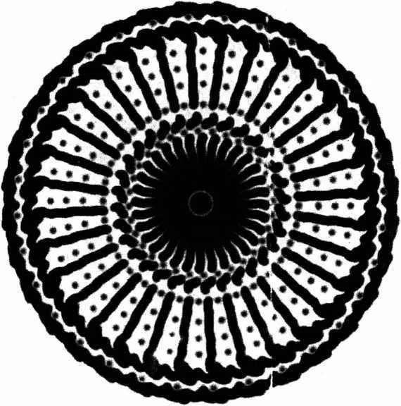 https://lh3.googleusercontent.com/_npEY4LlhkAk48vLd4104eRRMiHl3CjQ5iSbGsxul0Z4DGpqqSTZW9PgPJ0oHxcorKswZWhc3VDX0gOj-T9Prr_UmSZ_sjosRvyhjQ-tL-e0TreUStSTXV0KX80rt2Aw7HaQ4TZz0QDe6H9ZYw4I