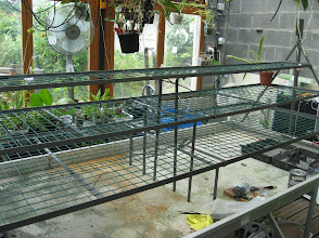 Etagère en escalier maison MMIhsjRznnZ_v4fapyAZV3D_EZ2FCnq1IsVprL6svmU=w294-h220-p-no