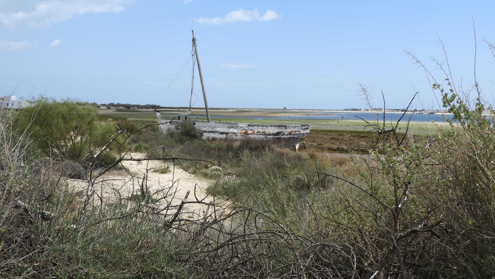 Ria Formosa, Olhão, Algarve