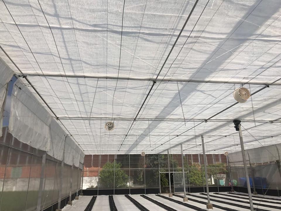 Lưới cắt nắng trắng giúp che nắng và giảm nhiệt bên trong nhà màng