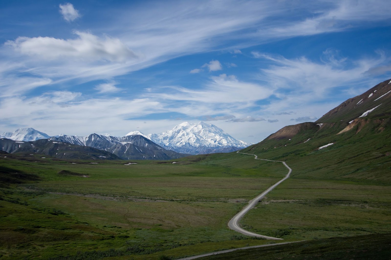Denali national park during the day