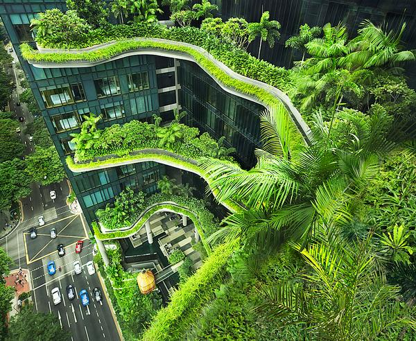 The Parkroyal Hotel in Singapore with its facade covered in greenery