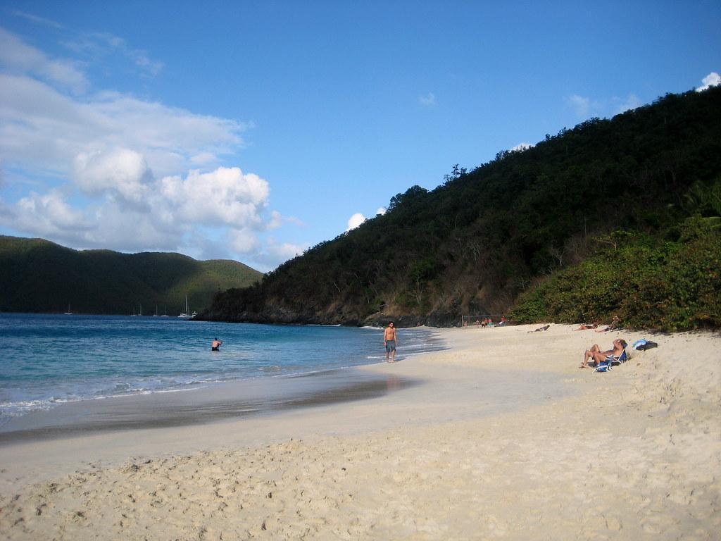 people sunbathing and swimming