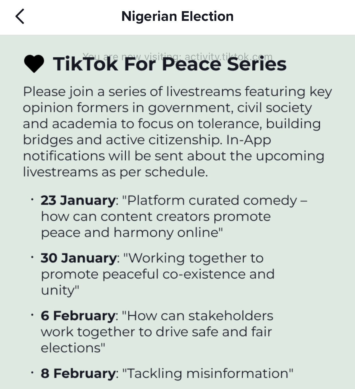 TikTok election hub