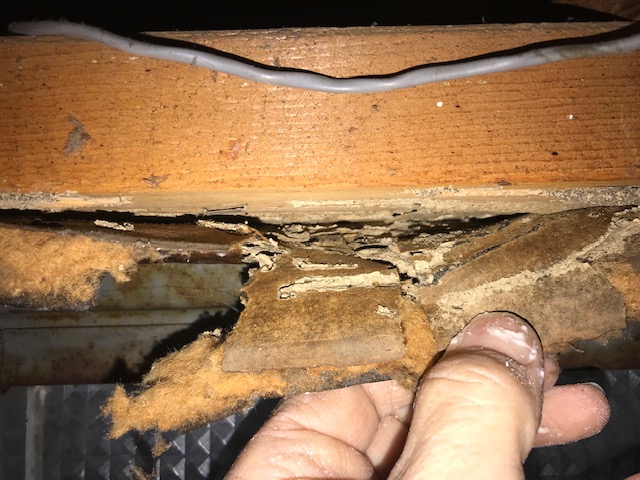 Termite damage in Urbandale home