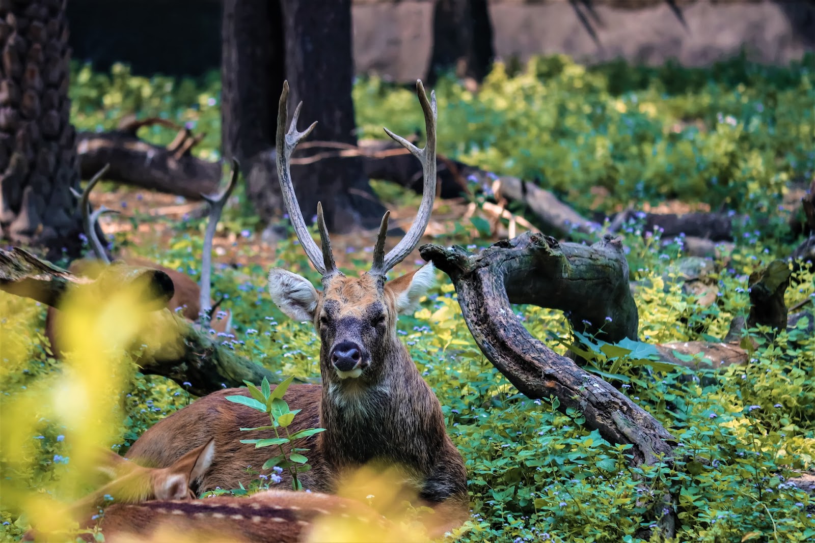 National Zoological Park