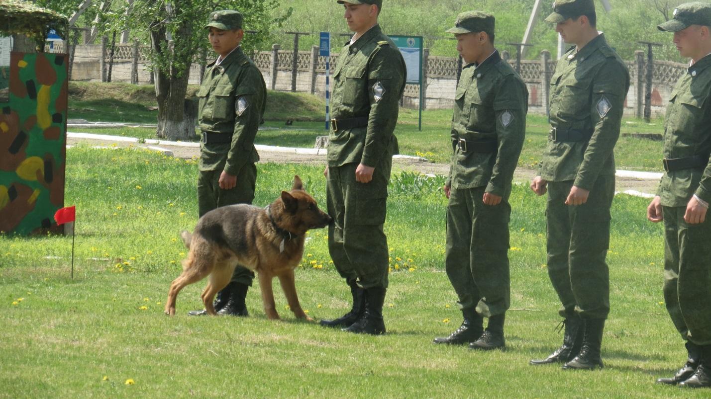 E:ПАТРИОТИКАФОТООТЧЁТЫфотоотчёты 2017УРОК МУЖЕСТВА В УЦIMG_0727.JPG