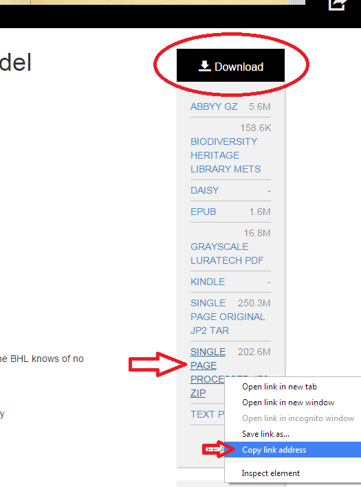 Screenshot of download options Copy Link Address.png