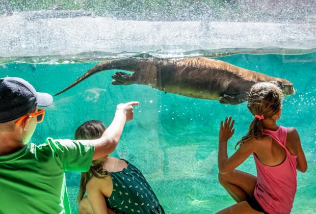 The Houston Zoo is free one day a month during the school year.