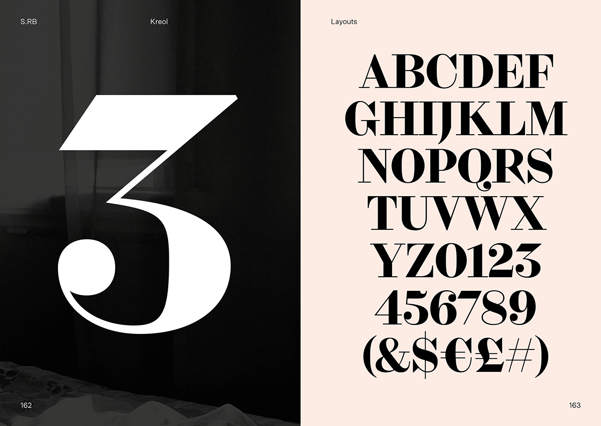 Brand Design brand identity logo modern serif typedesign Typefamily typography  