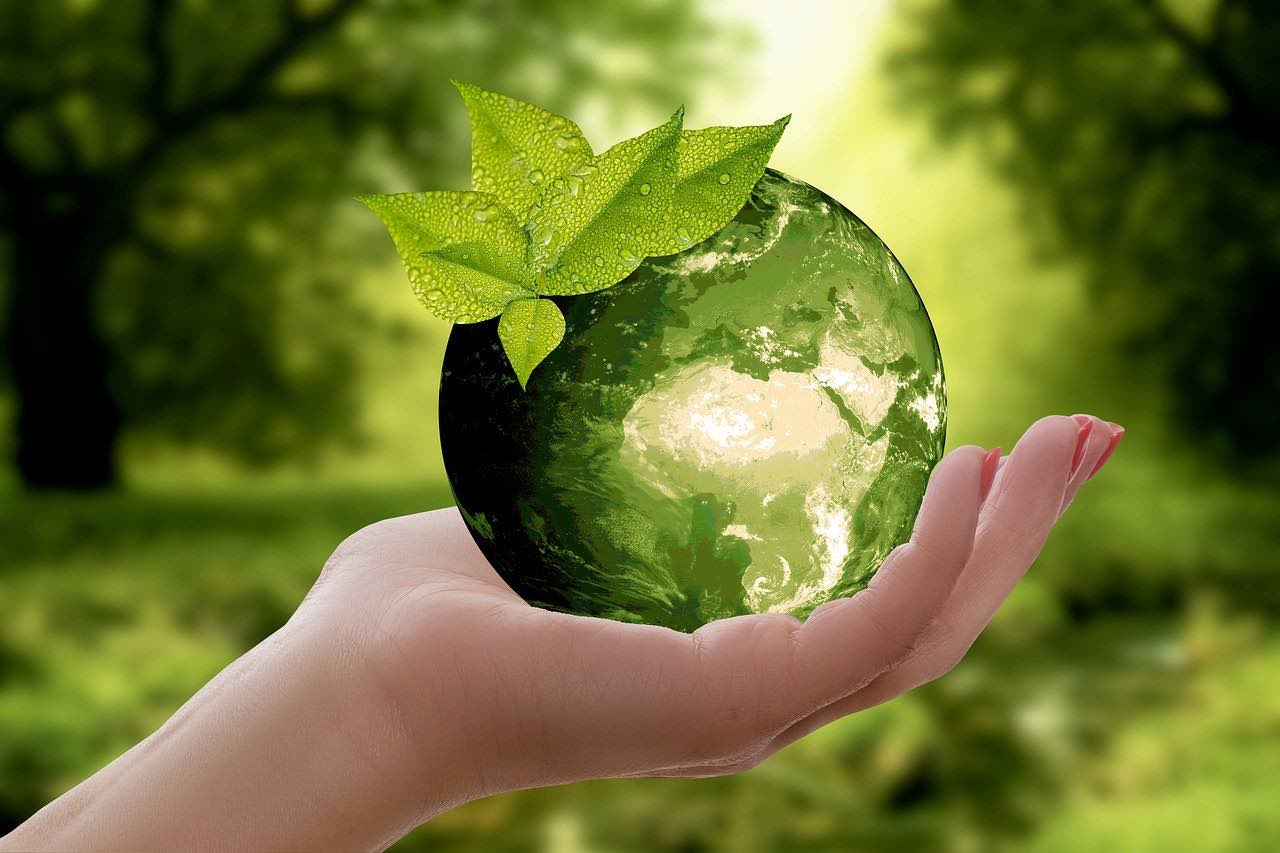 Leave Your Legacy On Planet Earth: The Essentials Of Environmental Sustainability