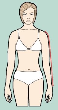 Arm length from shoulder tip (as described above) to wrist.
Bend arm slightly and measure over outside of elbow.