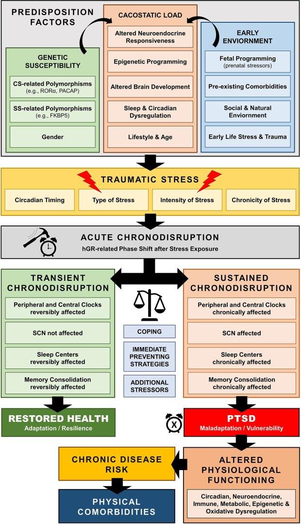 Post Traumatic Stress Disorder model