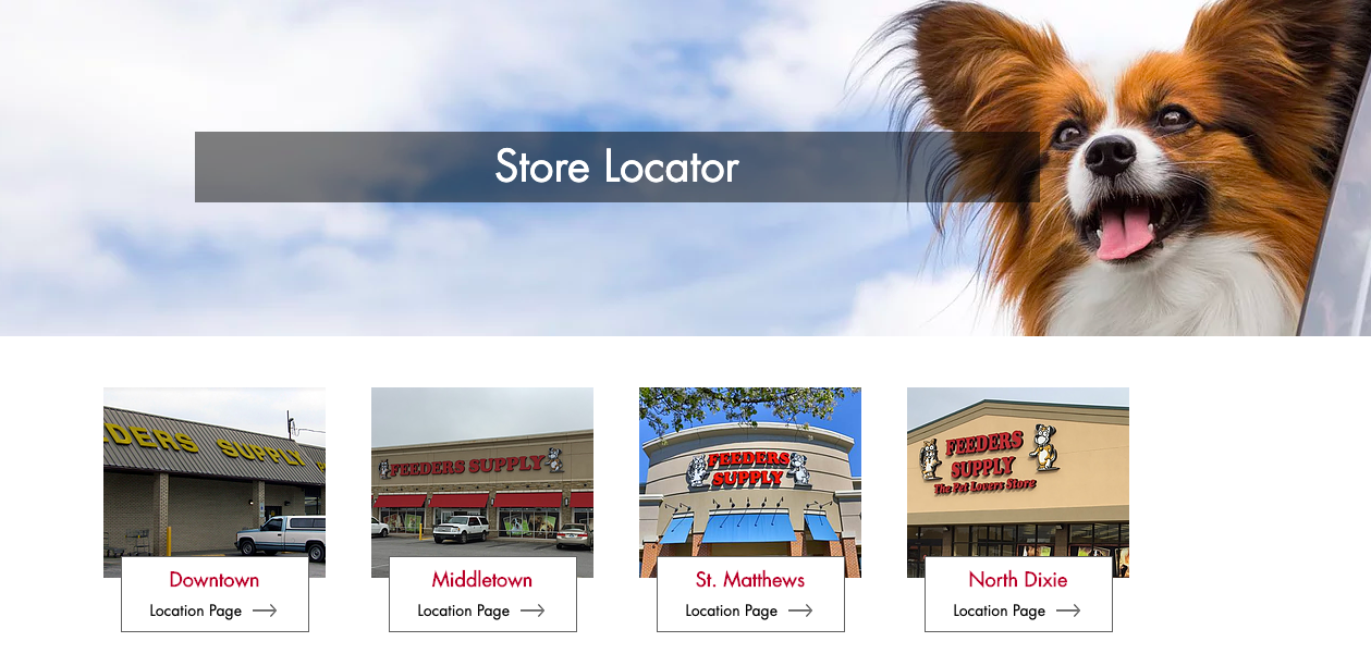 local business with multiple location pages