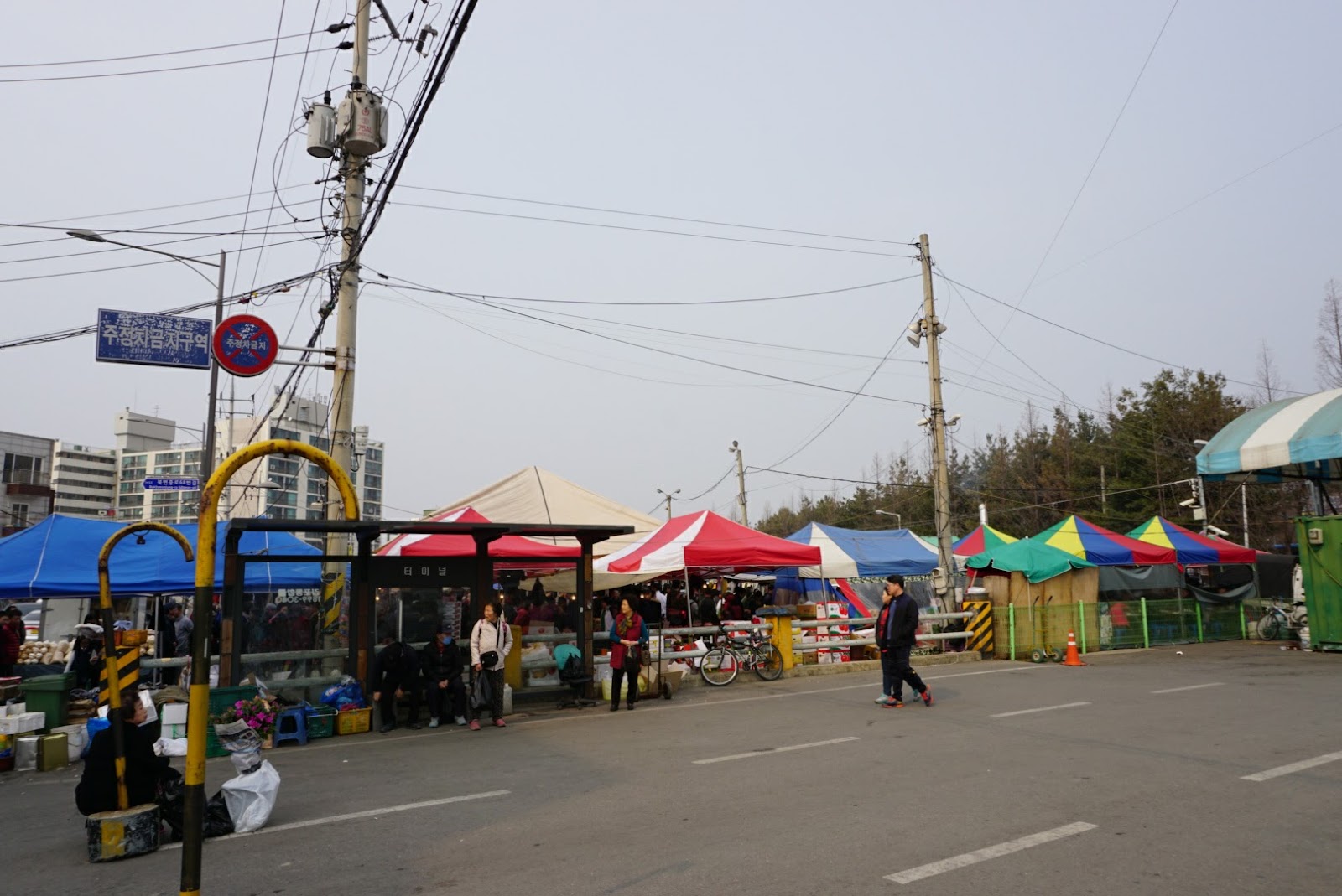 DSC03067.JPG