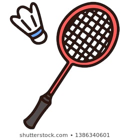 Image result for racket and shuttle