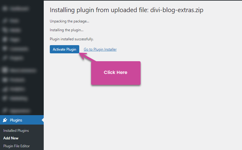 Activate Divi Blog Extras