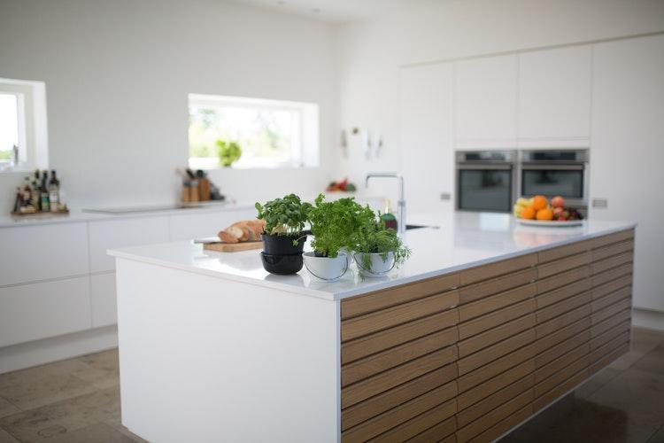 A white kitchen with plants on the countertop