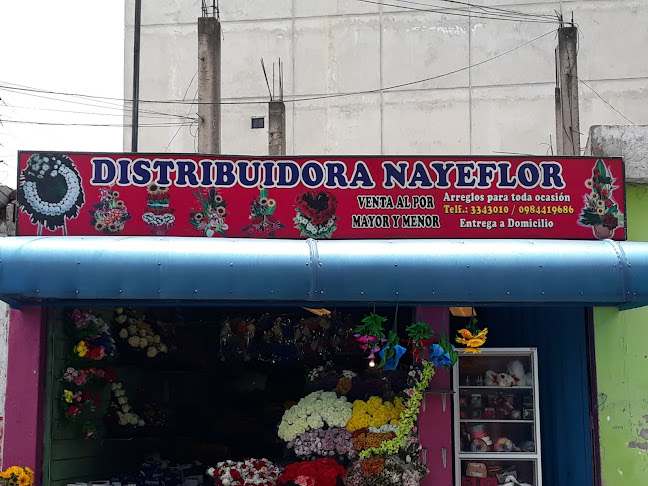 Opiniones de Distribuidora Nayeflor en Quito - Floristería