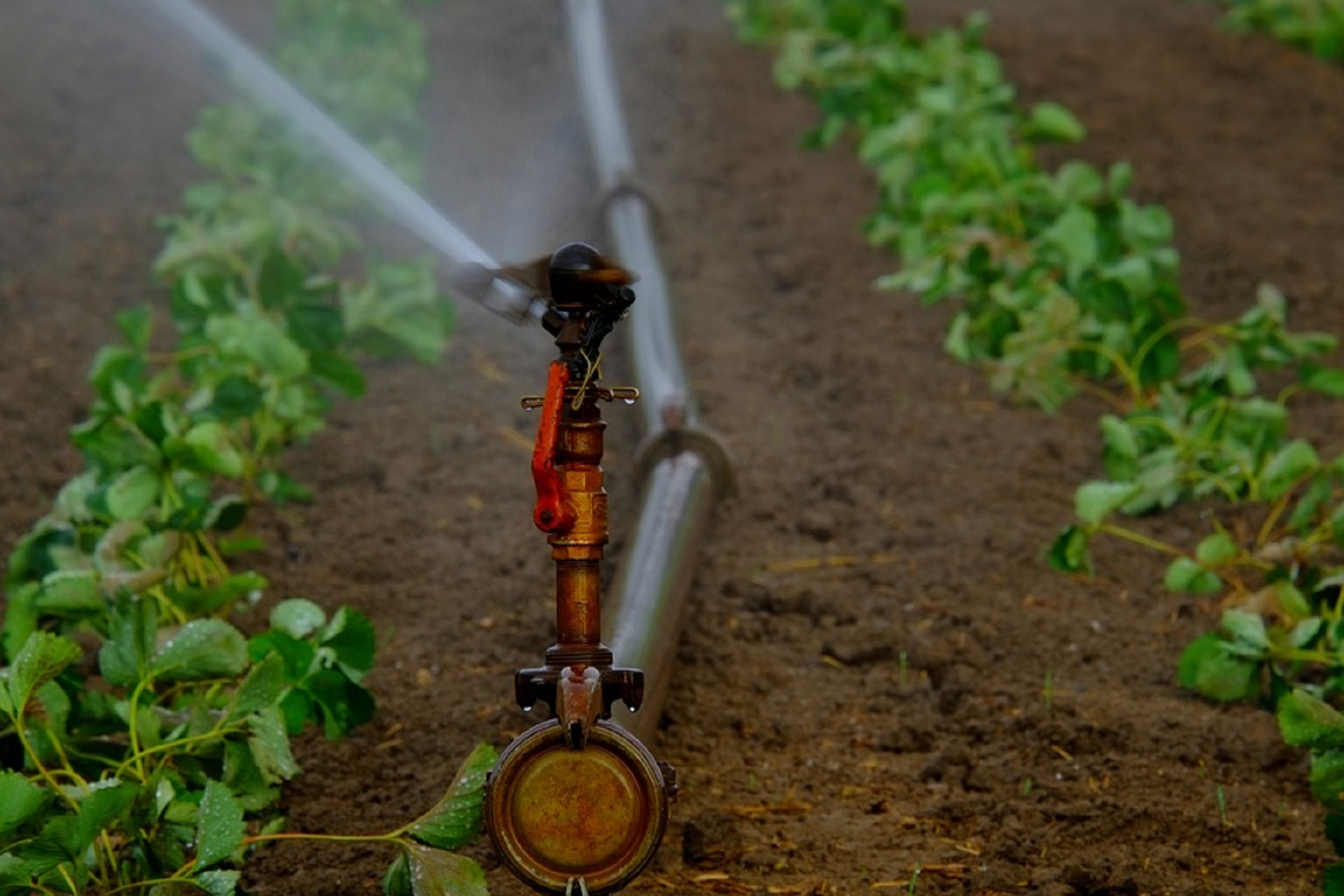 Irrigation System Brunswick GA
