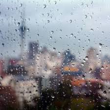 Image result for rain in auckland