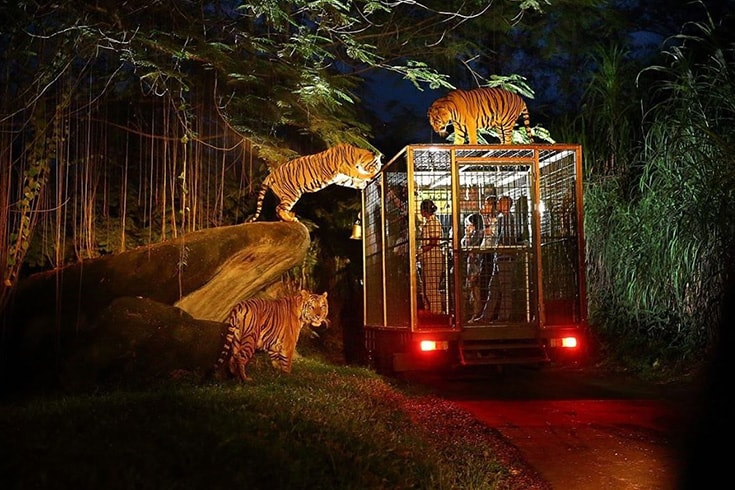Night safari at Cat Tien National Park 