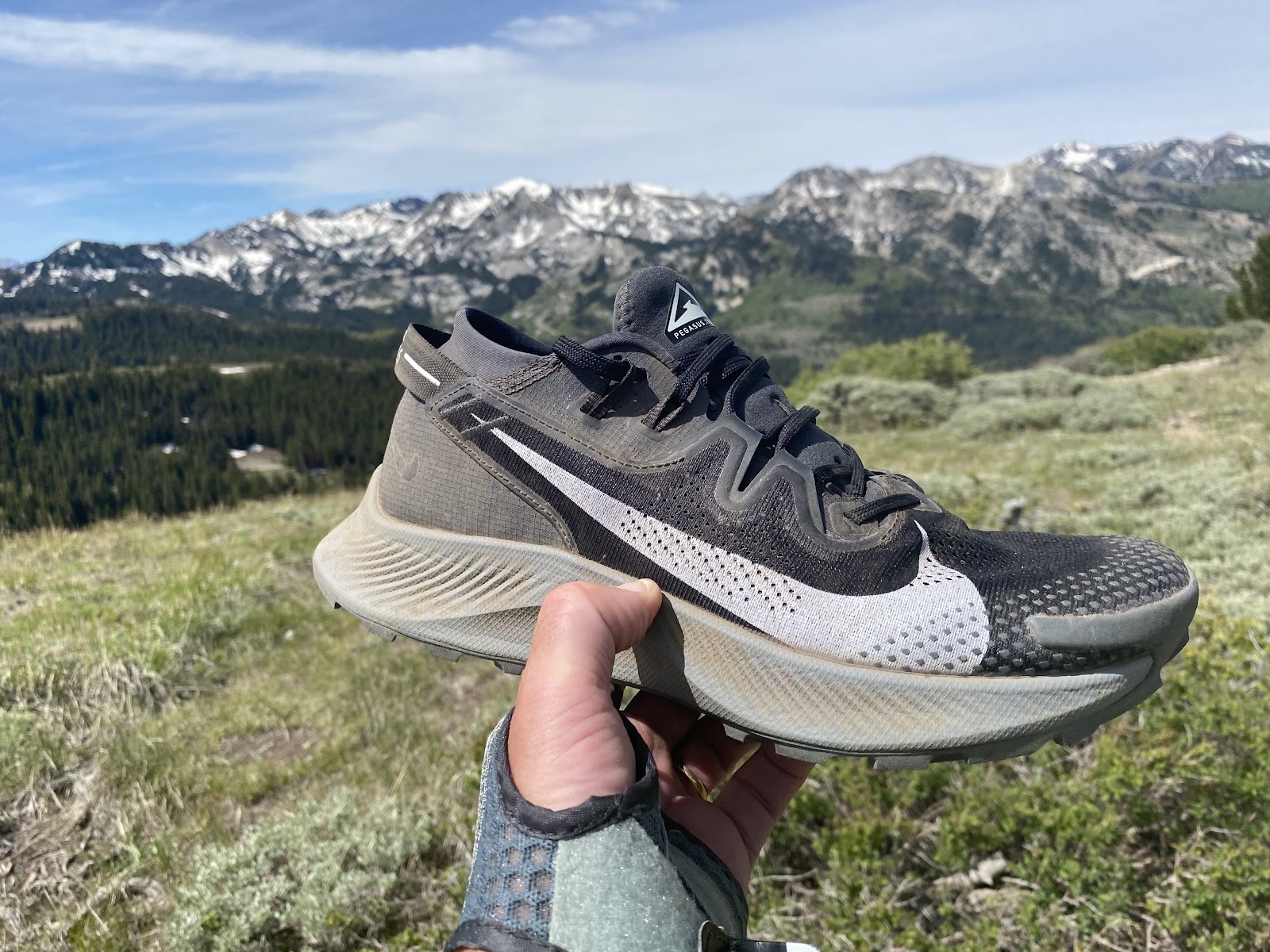 Road Run: Nike Pegasus Trail 2 Multi Tester Smoother Trails (and Cruiser
