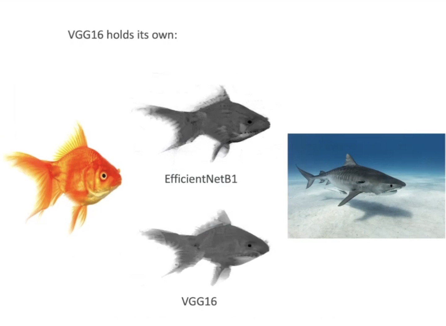 EfficientNetB1 and VGG16