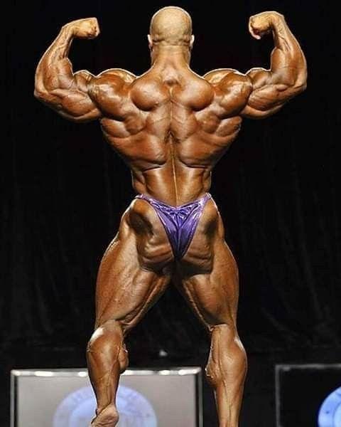 Back double bicep pose by 7x mr.olympia Phil. #pose #phil #olympia |  Bodybuilding motivation, Phil heath, Best bodybuilder