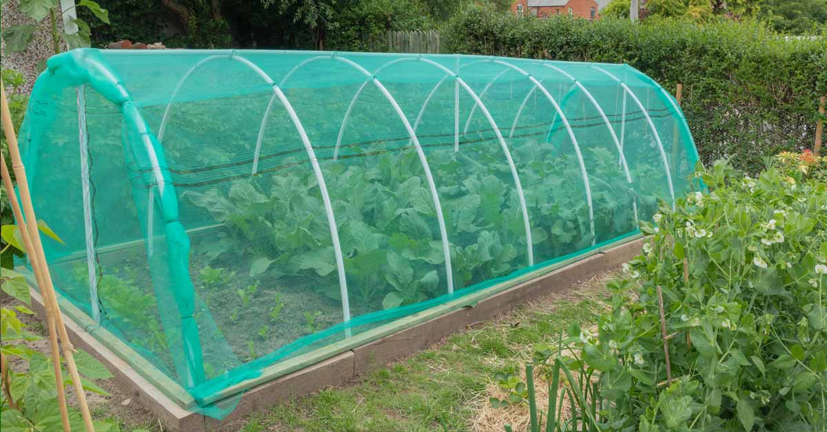 using garden nets make your garden more pet-friendly