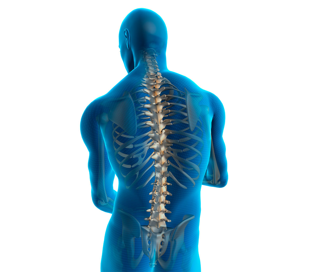 spinal.jpg
