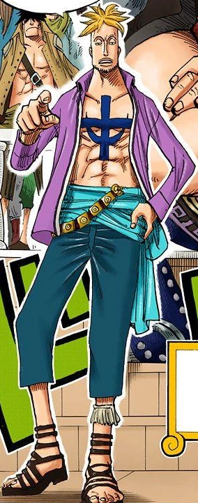 Who is Marco in One Piece?