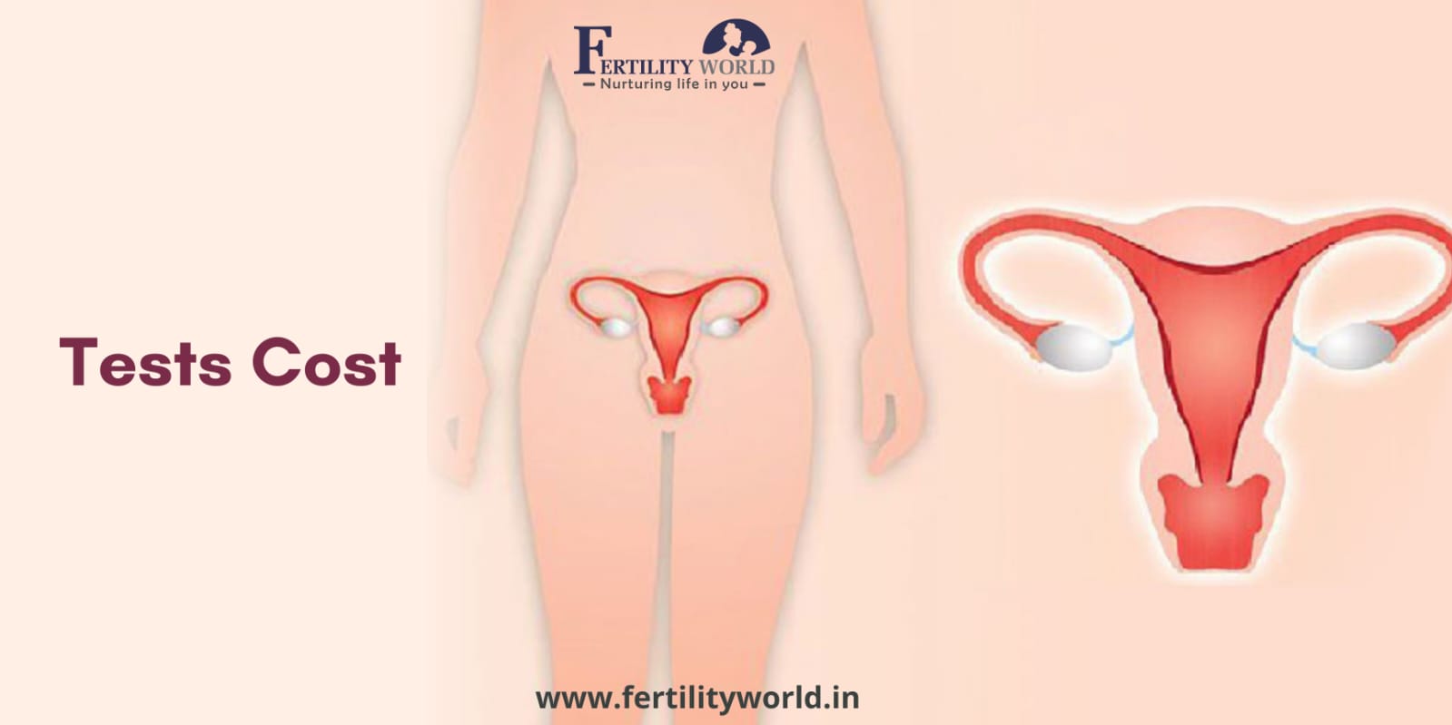 Diagnostic tests cost for uterus problems
