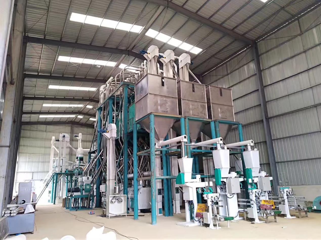 240T maize mill  (5)