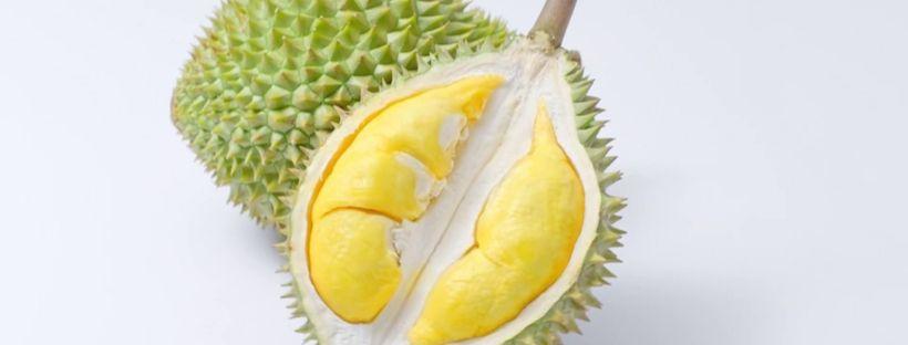 Le durian
