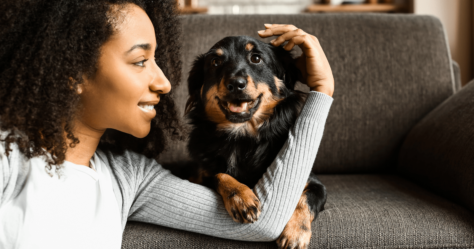 Woman smiling at small dog laying on couch