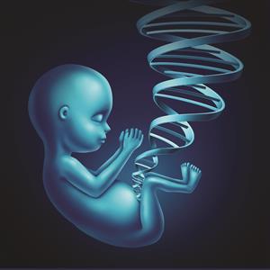 Non-invasive Prenatal Testing (NIPT)