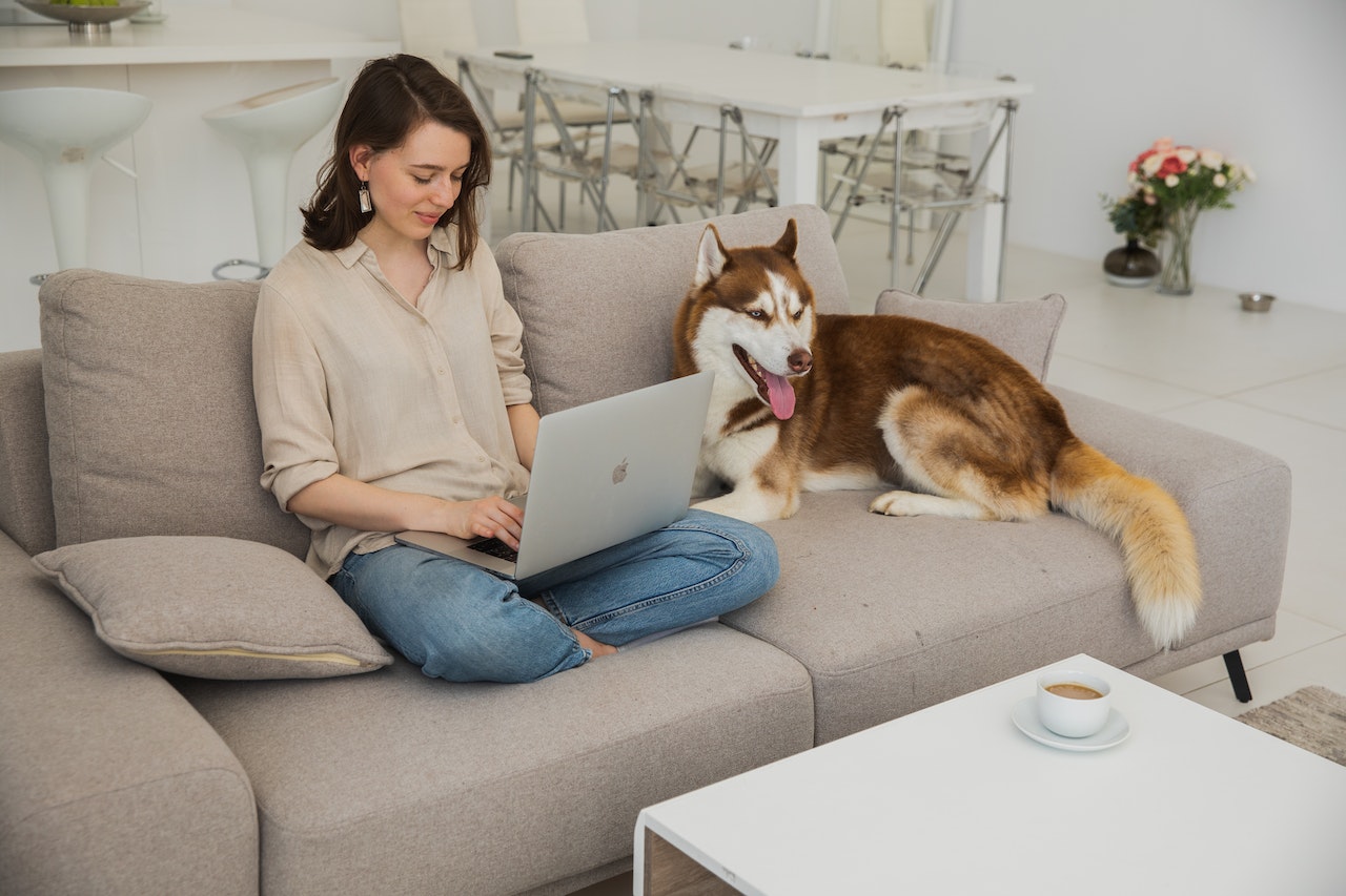 person shopping for plastic dog collars online