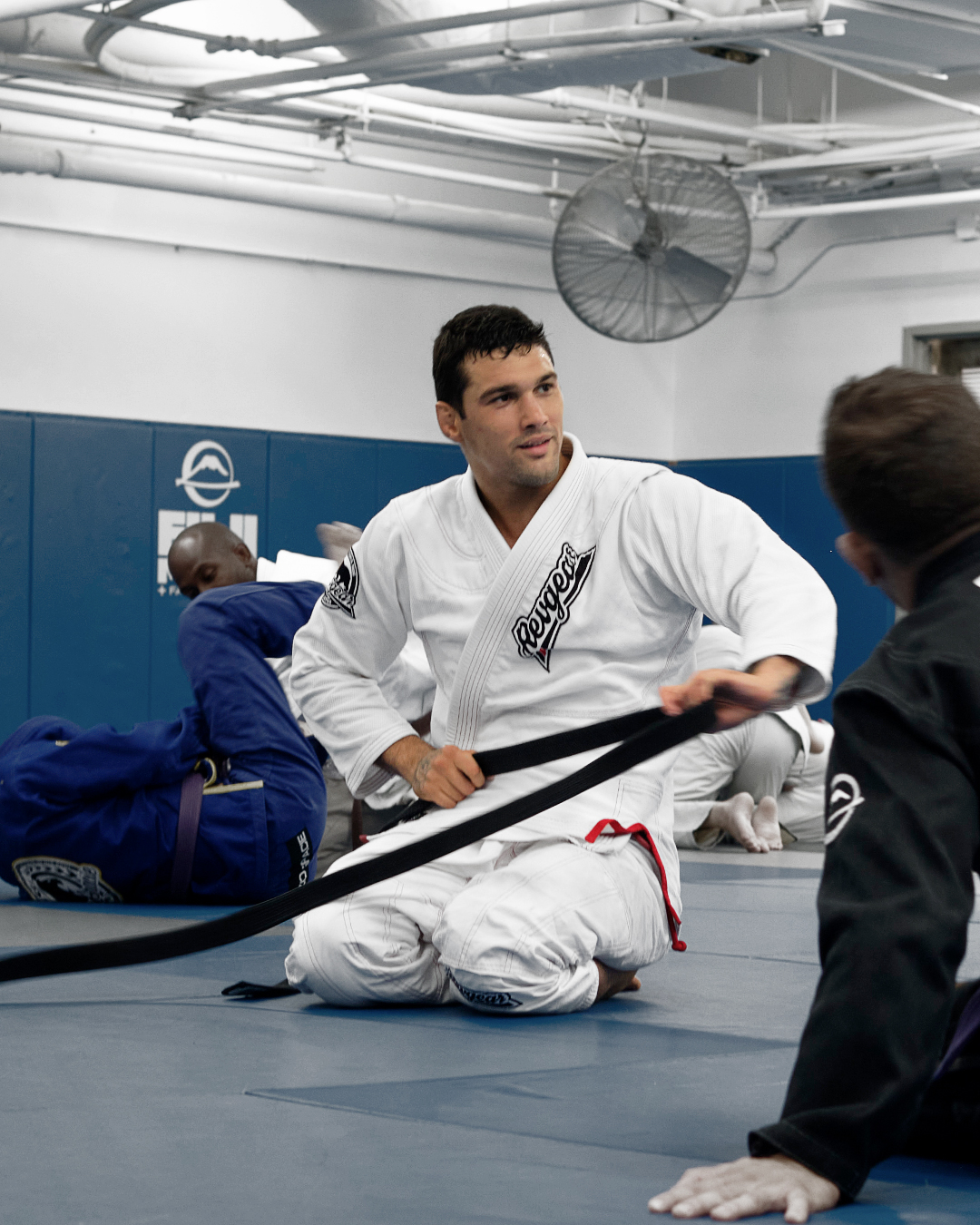 Unveiling the Differences: BJJ Training ...