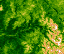 MODIS NDVI June 26rd, 2019