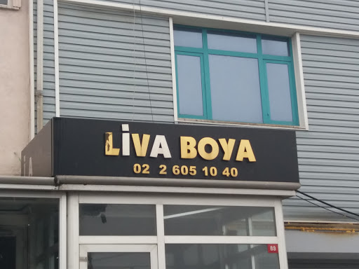 Liva Boya