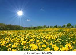 Sunny Weather Images, Stock Photos & Vectors | Shutterstock