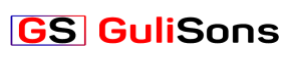 SEO Agencies in Gurgaon - Gulisons Logo