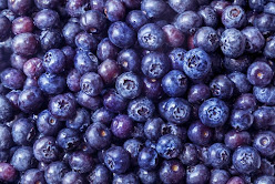 Home Gardening: Rabbiteye Blueberries - Alabama Cooperative Extension System
