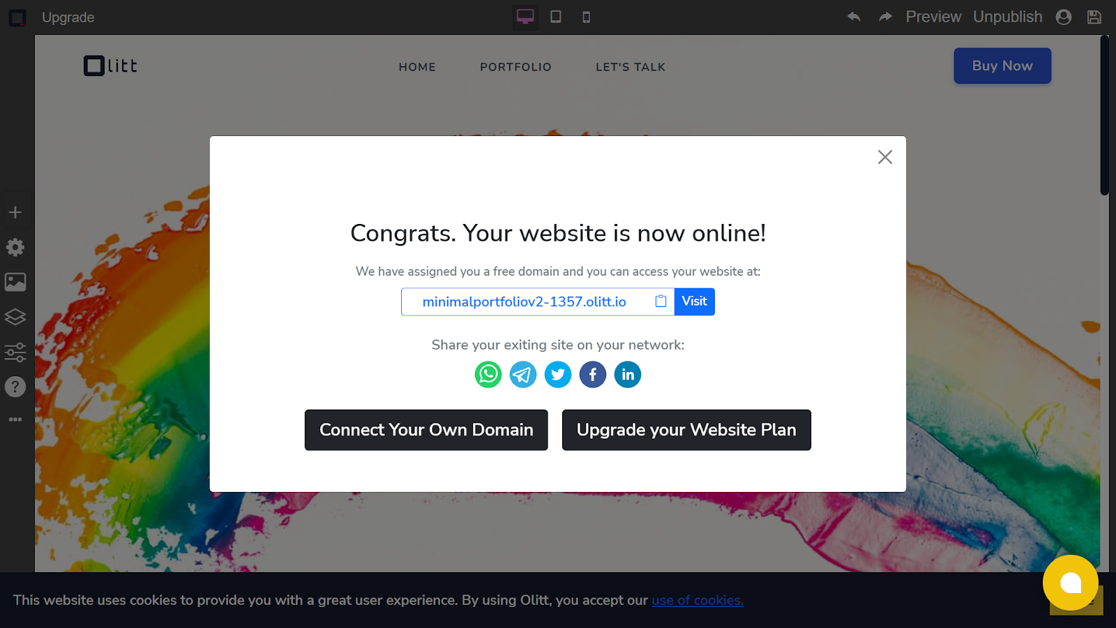 olitt website custom domain