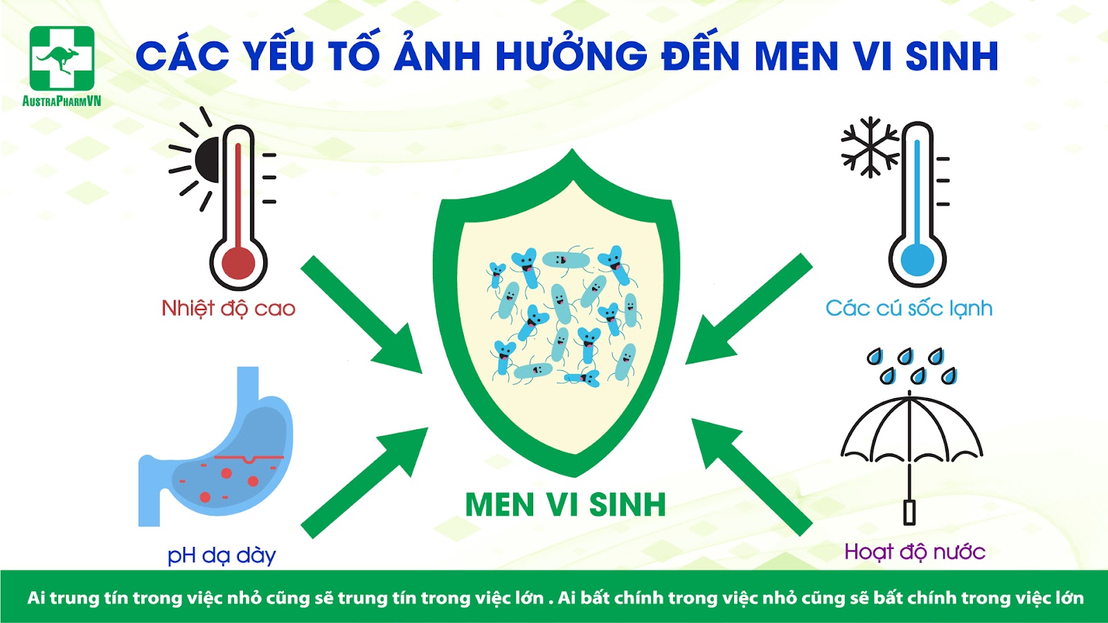 MEN VI SINH CÔNG NGHỆ CAO ĐẢM BẢO HÀM LƯỢNG LỢI KHUẨN BỔ SUNG TỐI ƯU 