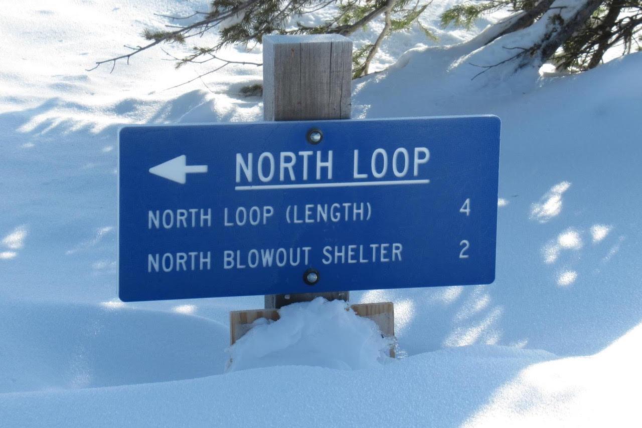 A snow blowout, Local News